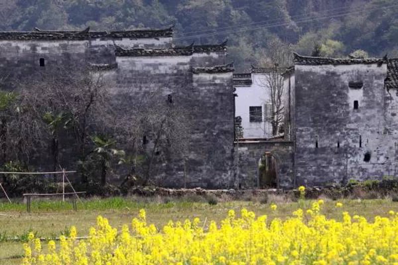 深度剖析始兴房源市场：优势与劣势对比